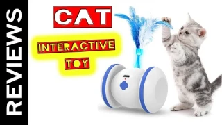Interactive Cat Toy Review