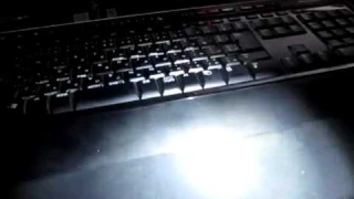 Black Cat HM-01 HA-II OSRAM 100-Lumen LED Flashlig