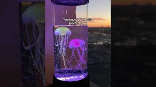You know you want a jellyfish lamp  #Jellyfish #Lamp #HomeDecor#homefinds#Lighting