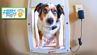 Is an automatic dog door worth it? Honest review...