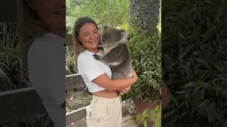 Koala Cuddles! Woman's Dream Come True as She Holds Adorable Marsupial