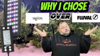 Why I Chose Seaoura Over Fluval: Seaoura Programmable Aquarium Light