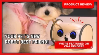 Skymee Owl Robot's Product Review from CNA Insider: Your Pet's New Robot Best Friend!