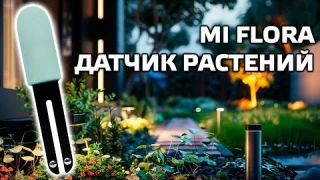 Xiaomi Smart Flower Monitor - анализатор почвы и освещенности