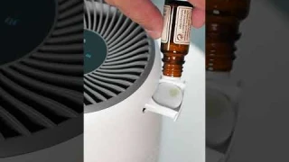 Pouring Essential Oil Into the Levoit Core Mini Aroma Pad! #aircleaner #levoit #airpurifier