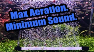 Hygger Air Stone Review from an Air Stone HATER. | Unbiased review.