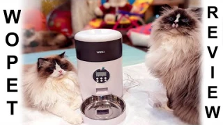 WOpet Milo Automatic Pet Feeder review and installation setup
