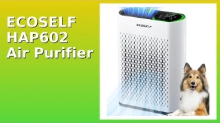 REVIEW (2026): ECOSELF HAP602 Air Purifier. Features.