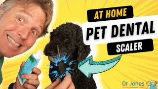 Dr. Jones Tries At Home Dental Scaler - Does It Work?