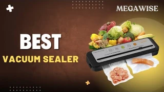 Best Vacuum Sealer Machine of 2025 | MEGAWISE Review & Test.