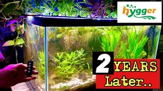 Hygger 978  Advanced LED 24/7 Light Cycle with TIMER- Aquarium Light Review….after 2 YEARS!