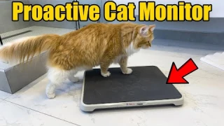 Petivity Monitors Your Cats’ Health At The Litter Box!