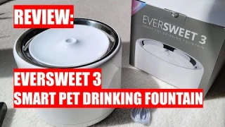 REVIEW: PETKIT EverSweet 3 - Smart Pet Drinking Fountain