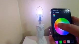 Smart & beautiful! // VANANCE Smart Bulbs Review
