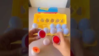 Shape Sorting and Matching Egg Set