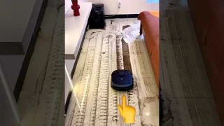 Is Robot Vacuums Worth the Money?