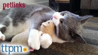 Petlinks Jeepers Creepers Catnip Toy from Worldwise