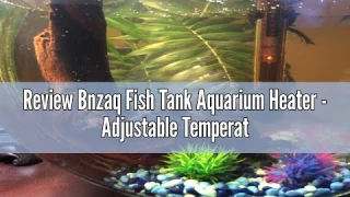 Review Bnzaq Fish Tank Aquarium Heater - Adjustable Temperature Submersible Thermostat Heater,25W/50