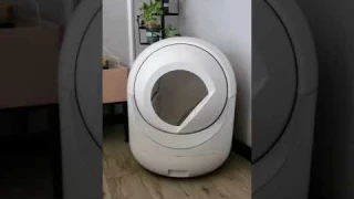 Self-clearn automatic big cat litter box