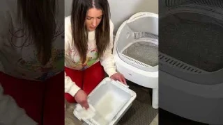 Will My Cat Use This Automatic Litter Box? Honest Review! 🐱💬｜Autoscooper11 #autoscooper11 #petpivot