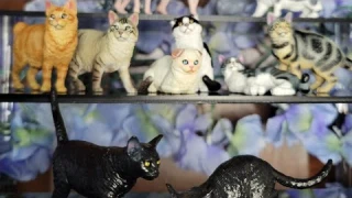 Eyscota Cat's Mini Animal Figurines Unboxing and Review