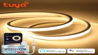 Tuya Smart WiFi APP DC 24V COB Light LED Strip Neon Silica Review