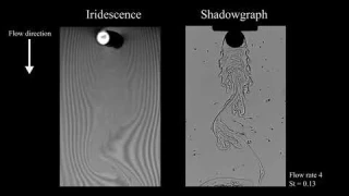 Two dimensional wakes with a non newtonian fluid behind a circular cylinder