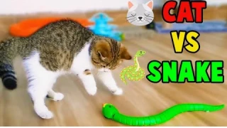 Smart Sensing Snake Toy For Cat Review and Unboxing  2022 - Toy for Cats That Moves