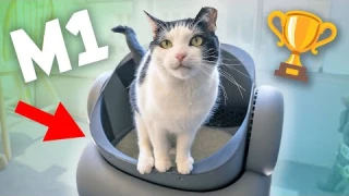 Neakasa M1 Automatic Litter Box Review - Your Cat Deserves This Litter Box! 🏆