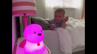 LED Kids Night Light - Lumipet Puppy Review