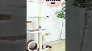 Funny Electric Cat Toy Lifting Ball Cats Teaser Toy Electric Flutter Rotating Cat