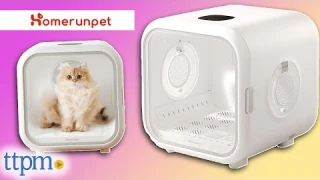 Drybo Plus Automatic Pet Dryer from Homerunpet Review!