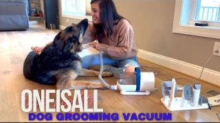 Oneisall Dog Grooming Vacuum demo and review!