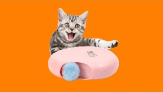 Mewoofun Cat Smart Teasing Stick Electric Toy Crazy Game Conch Shape Cat Catching Mouse Automatic