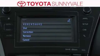 Voice Command Setup with Stan Wolowski