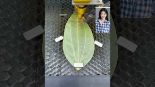 leaves #production process #laser engraving #leaf engraving machine #entrepreneurship