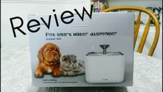 DomiPet Pet Smart Water Dispenser Review | Dog Mom Life