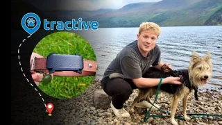 Tracktive Dog GPS Review. Is It Worth Buying?