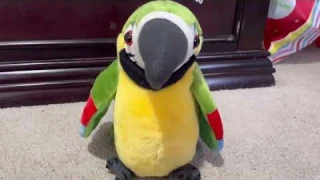 Talking green/yellow parrot toy￼
