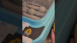 Fully automatic egg incubator Review with call duck eggs