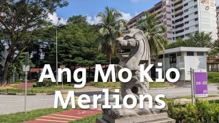 Searching for the legendary Ang Mo Kio Merlions (with English subtitles)
