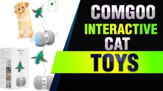 Comgoo Interactive Cat Toys, Automatic Irregular Feathers Birds Mouse Toys for Indoor Cats,