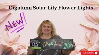 *NEW* Gigalumi Solar Lily Flower Lights Review | 2023