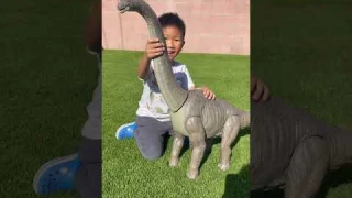 Unboxing #brachiosaurus #colossal #dinosaur #jurassicworld #jurassicpark