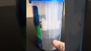 DampRid Review - 60 Days of Use Full Container