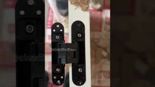 Invisible door that makes space more transparent #hinge #hinges #hardware #kitchencabinet