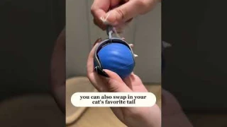 🐾 Speedy Tail 2.0 Smart Cat Toy Ball – The Ultimate Playtime Upgrade! 🎾🐱 #cat #pets #cute