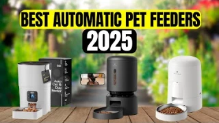 The 4 Best Automatic Pet Feeders of 2025