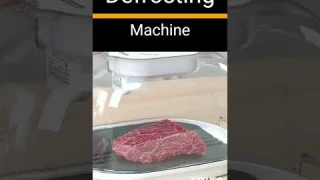 Meat Defroster | Defrosting Machine | Descongelador De Carne | Kitchen Appliances | Dawat Delight