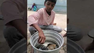 🌀🌀biscuit cake recipe 🍰🤤 #shorts #youtubeshorts #trending #cake